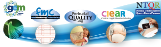 Perinatal Quality Foundation Projects